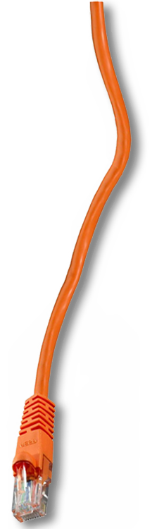 cable ethernet orange